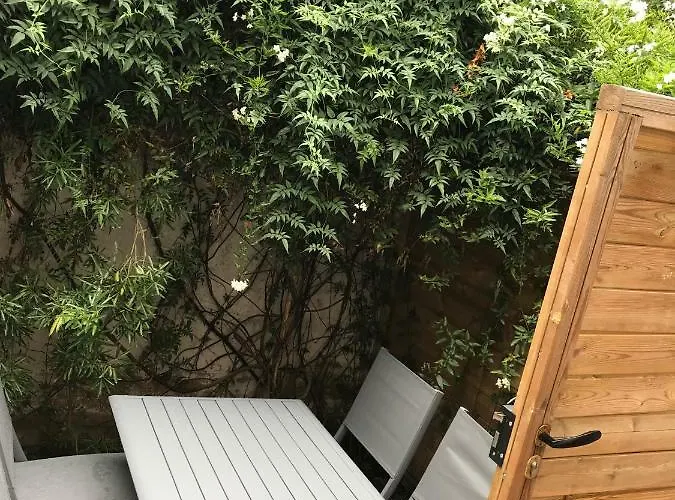 Appartement Hyper Centre